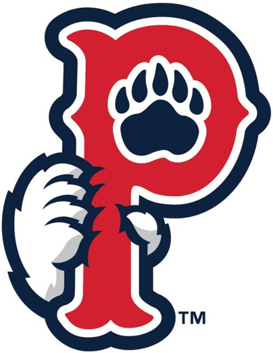 Pawtucket Red Sox 2015-Pres Cap Logo v2 iron on transfers for clothing